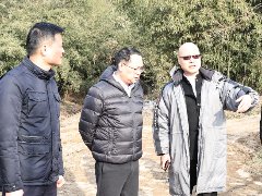 城投公司副总经理魏亚林一行赴中化学朗正灞桥项目考察